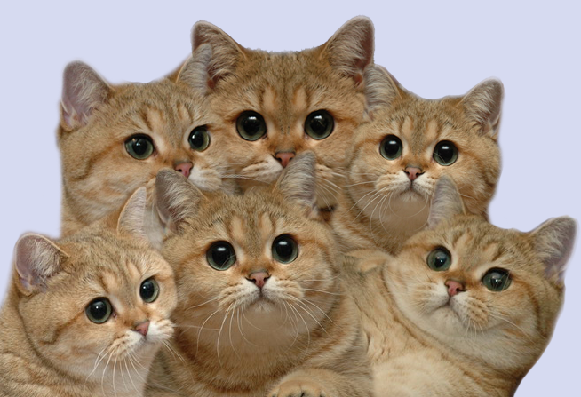 720.png