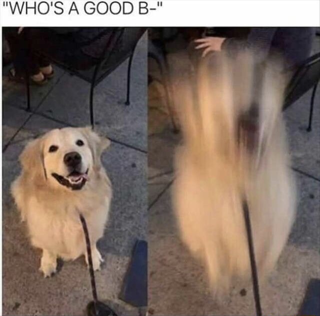 73F2CF0B-3343-4F2C-8660-A0B5B88FE5DC.jpeg