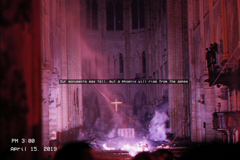 7631819.png