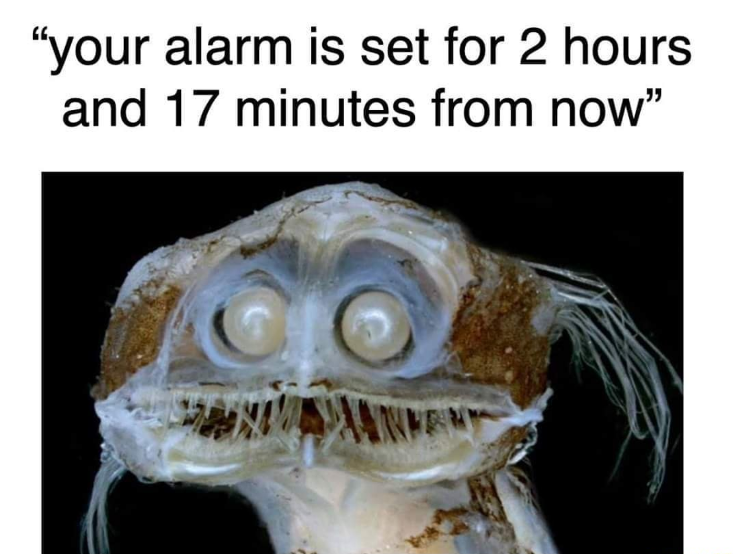 77ef30547314c02e.png