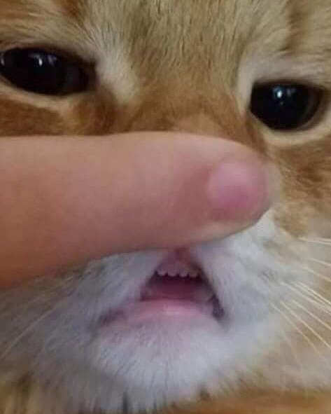 78BB628C-E0A1-4C04-B7BD-399B3658BE18.jpeg