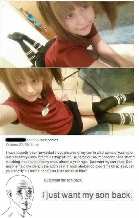 7fe.jpg