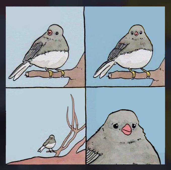 8.png