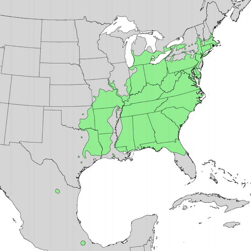 800px-Cornus_florida_range_map_1.png