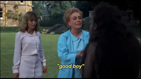 8085.gif