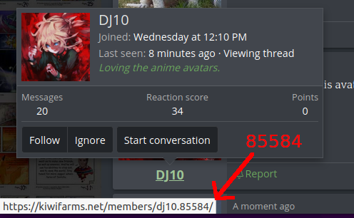 85584.png