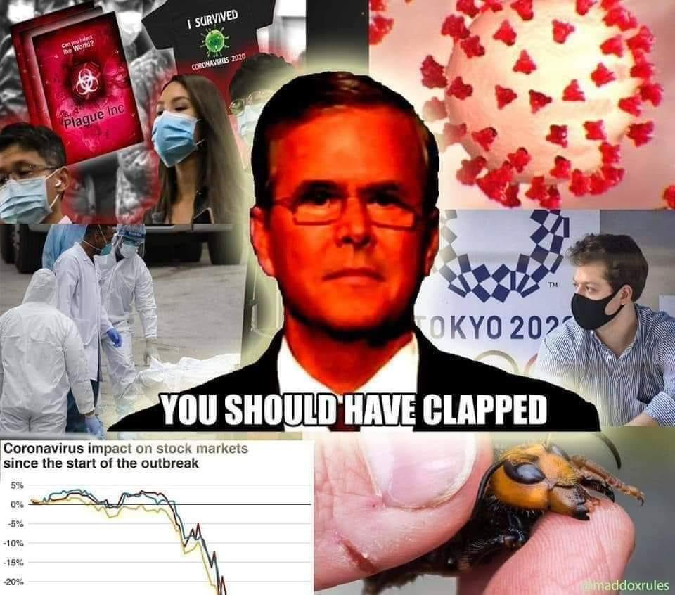 8b8fc7eba11cc9fe8b1a3777a278eb488de3fd2b.jpeg