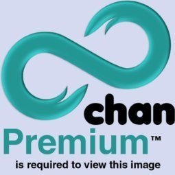 8chpremium.jpg