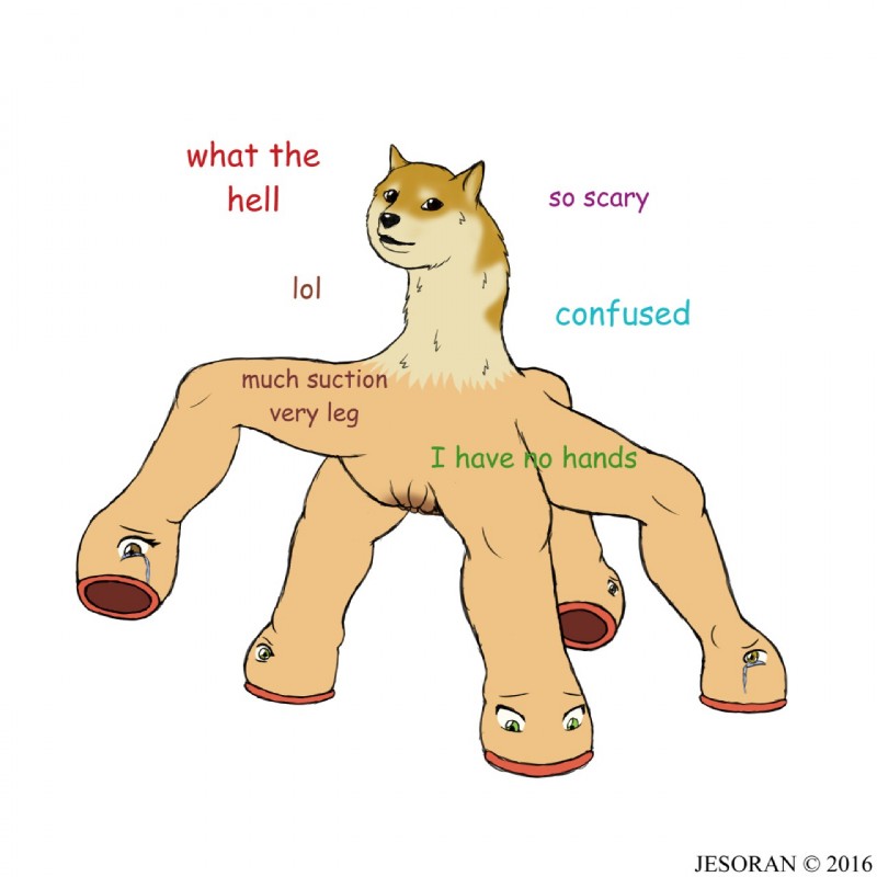8D6AF761-E188-4172-A204-CB735AAC88C6.jpeg