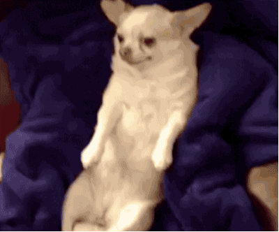 8efn.gif