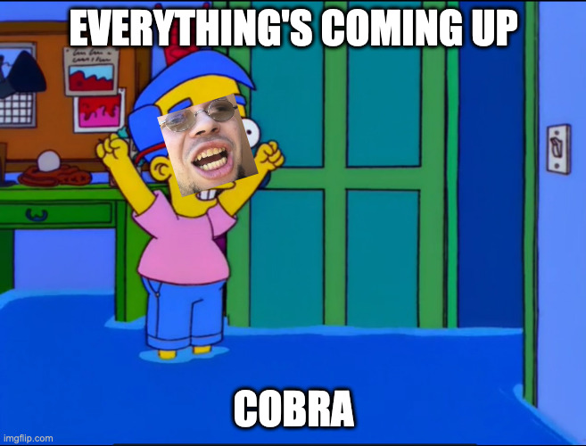 8o6bf2.jpg