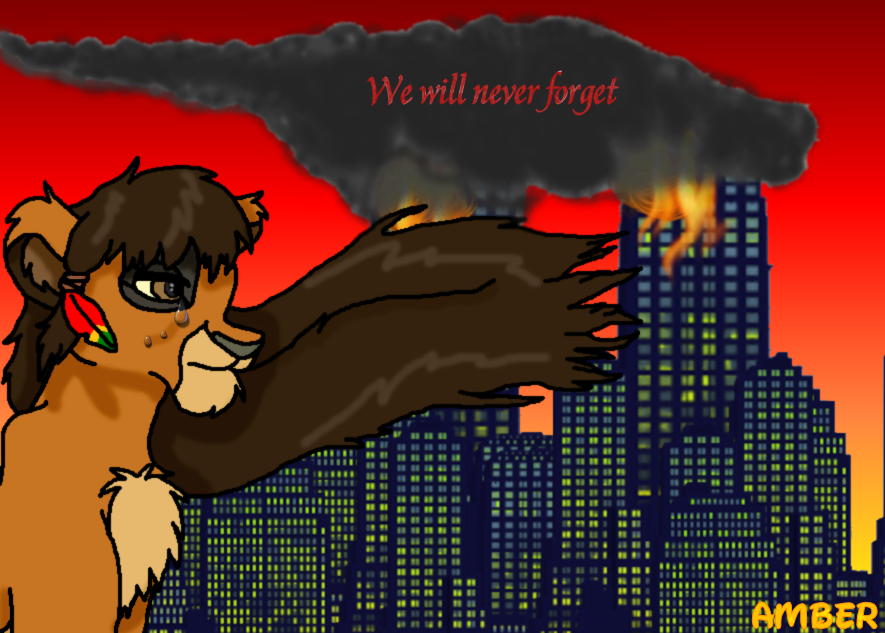 911.png