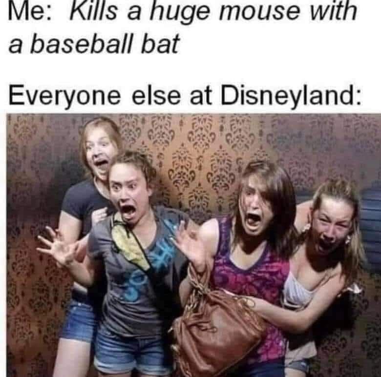 926.jpg