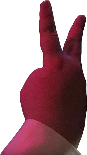 9654.png
