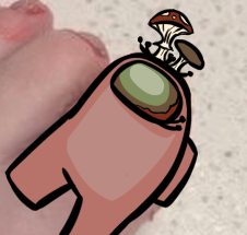 A Foongus.png