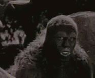 a.gif