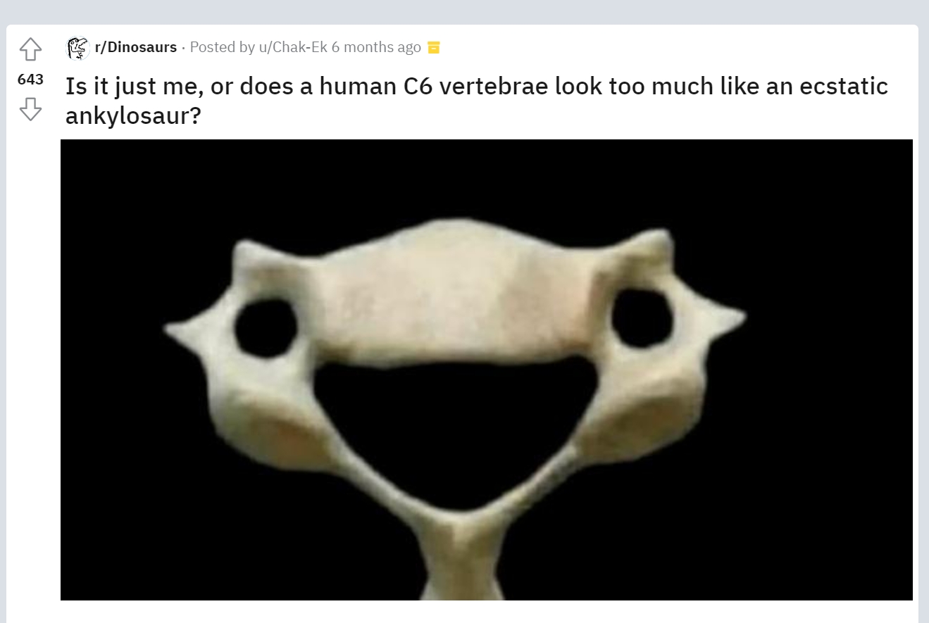 a.jpg