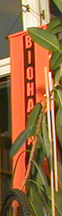 a.jpg