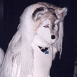 AAC1.jpg