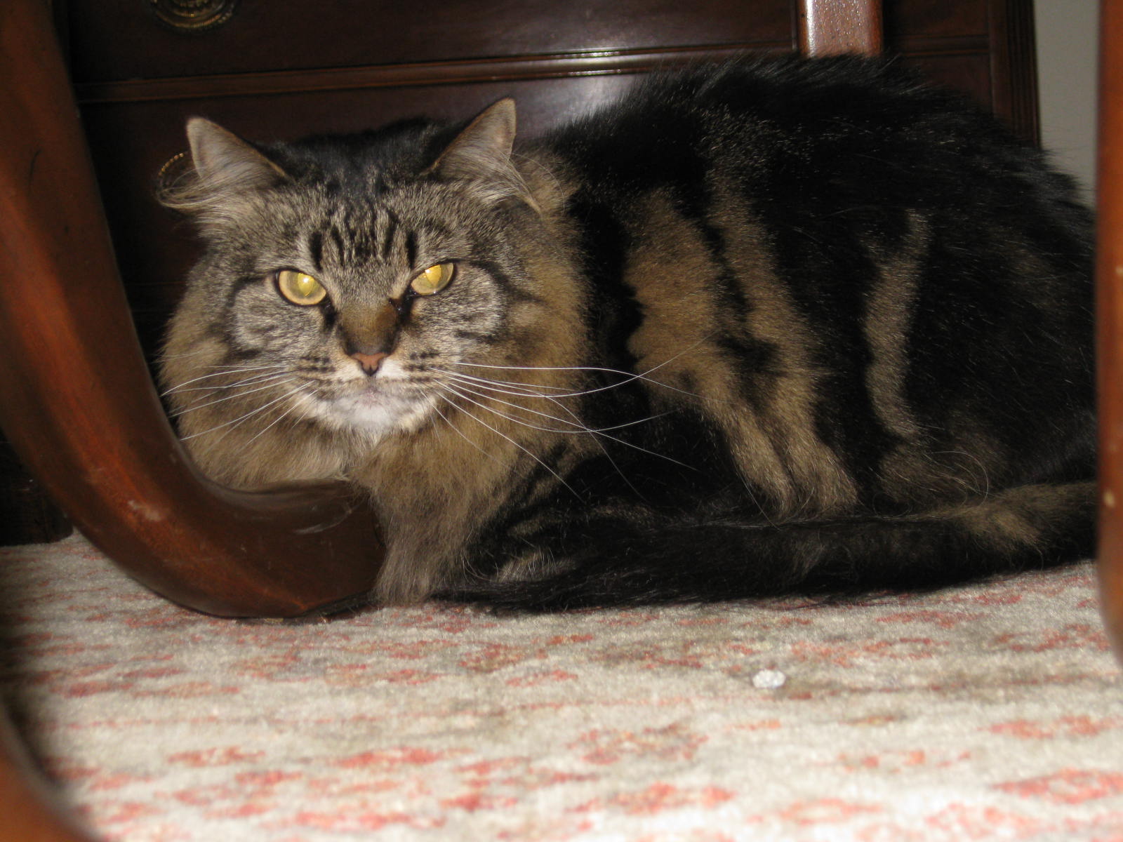 abby5.jpg