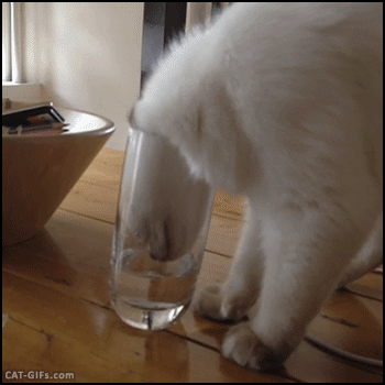 ACflIVX.gif