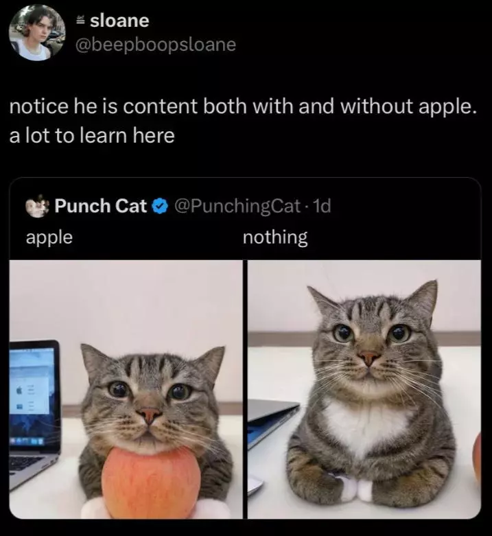 adjjsshdei0e1.webp