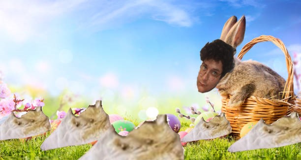 aediotbunny.jpg