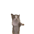 aether_was_here.gif
