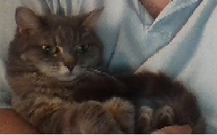 Agnes.jpg