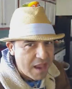 alanis2.PNG