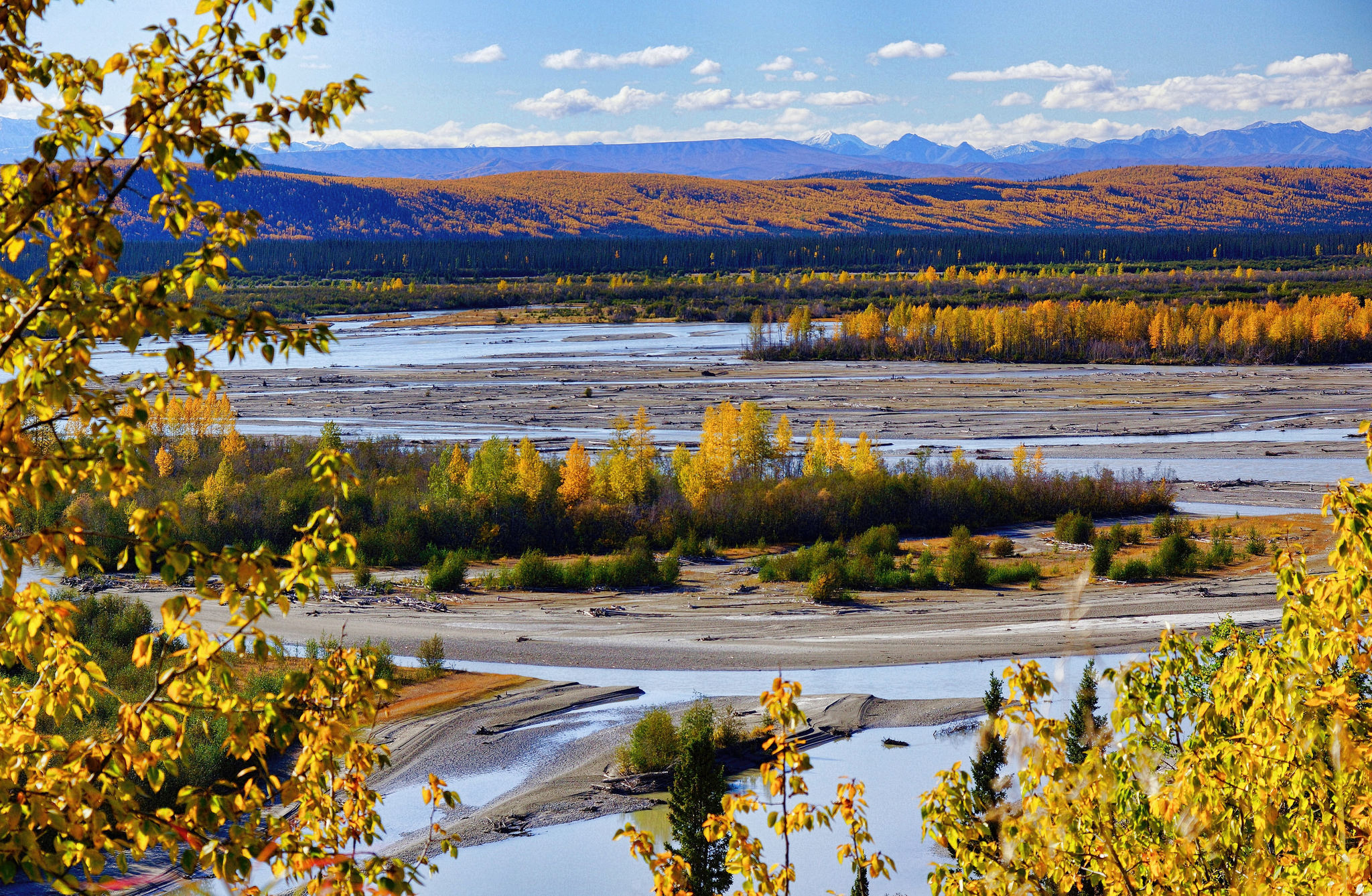 Alaska_fall677641.jpg