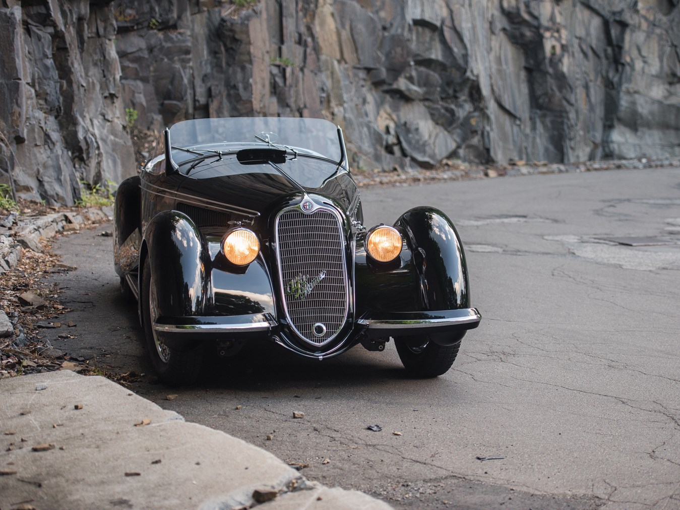 alfa1.jpg