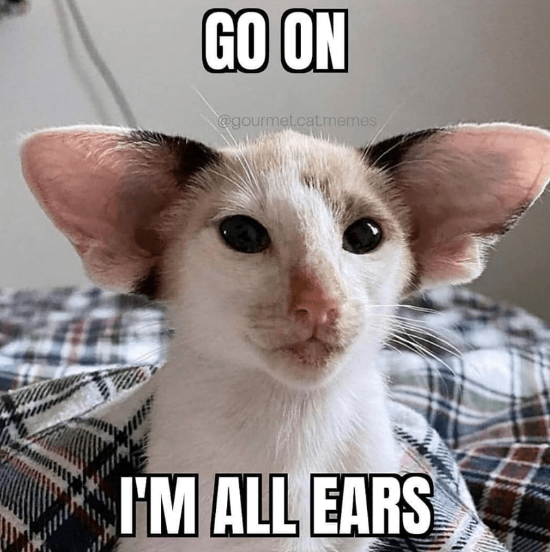 all-ears.png