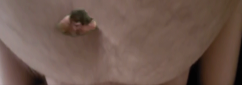 AllBecomesGunt.gif