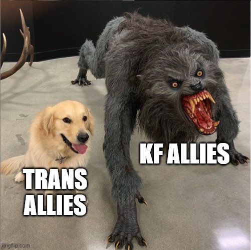 allies.jpg