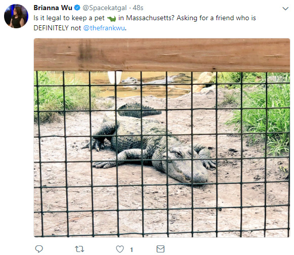 alligator.jpg
