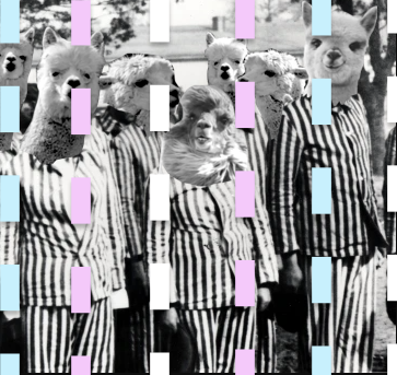 Alpaccau.png
