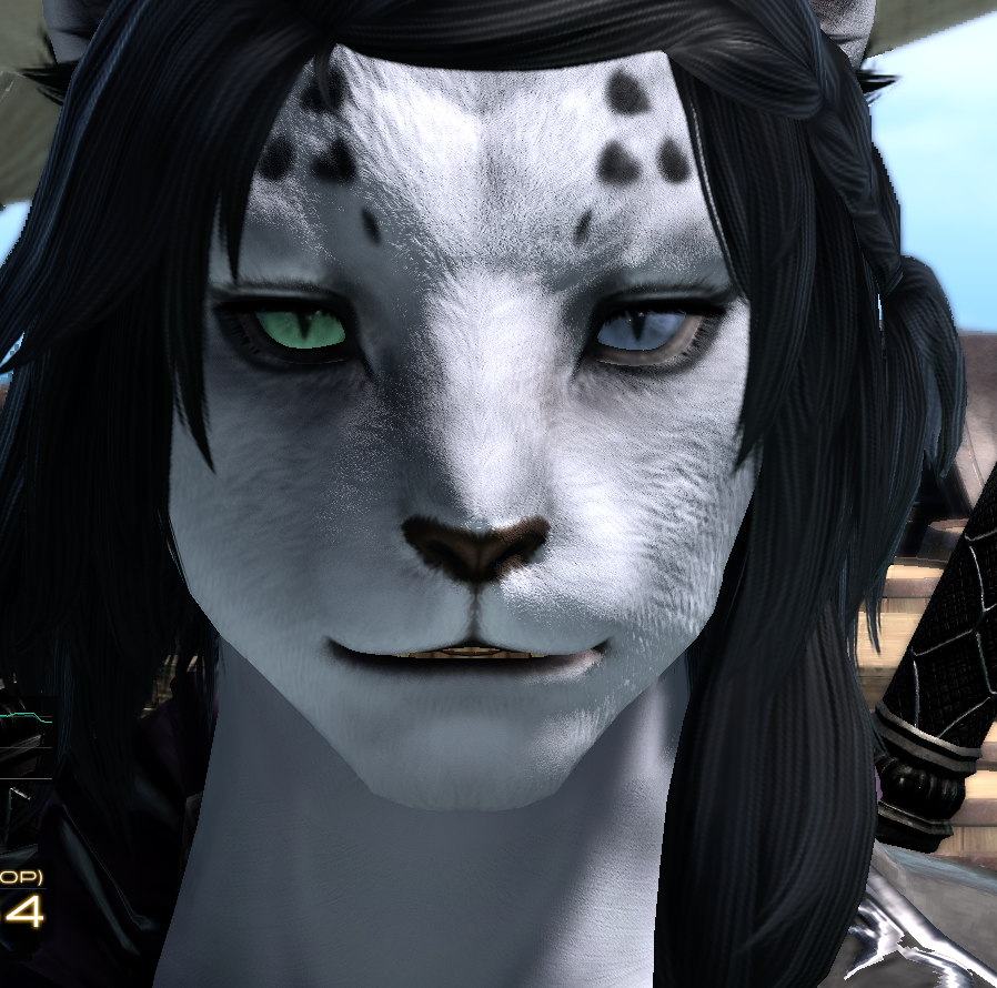 alt.png