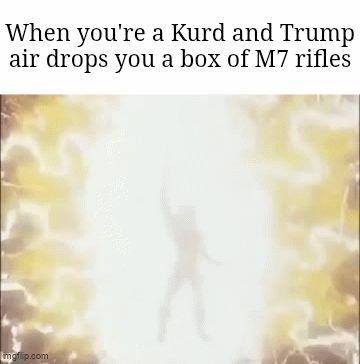 am5alv.gif