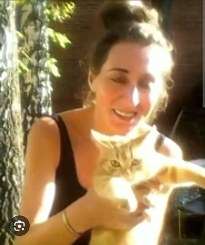 am_cat_rz.png