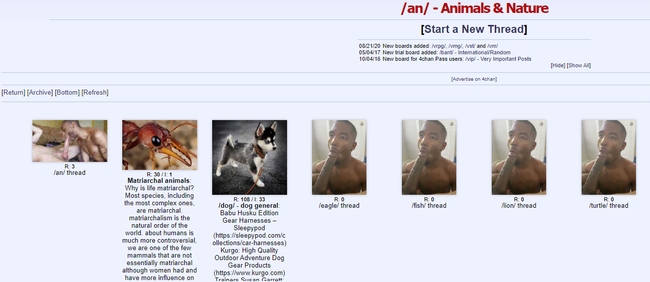 an.png