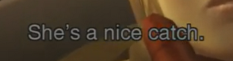 anicecatch.png