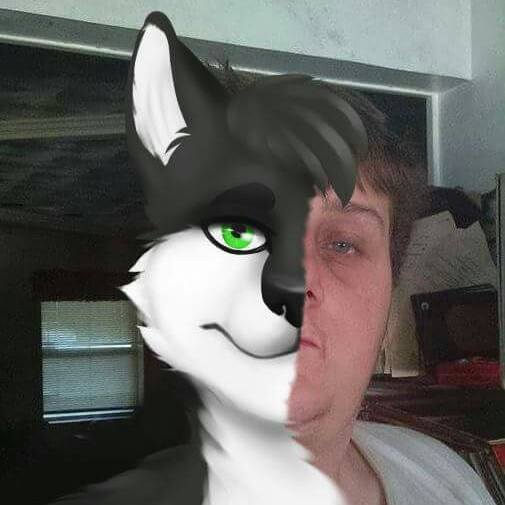 animorph.jpg