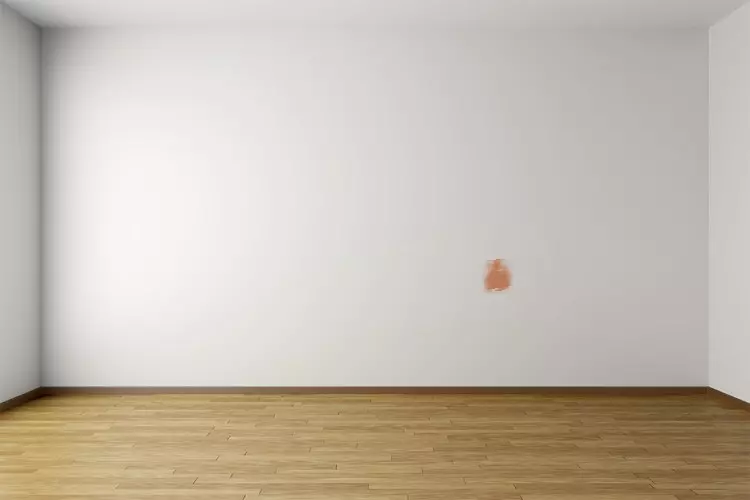 anisa poop.webp