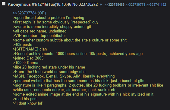 Anon's Experience with Tech Support Websites.png