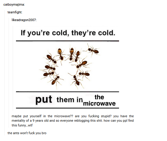 Ants.png