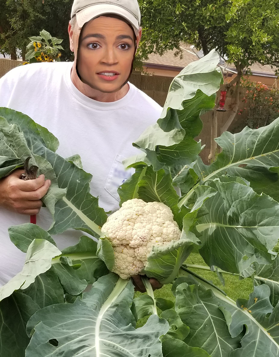 AOC.jpg