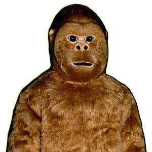 ape6.jpg