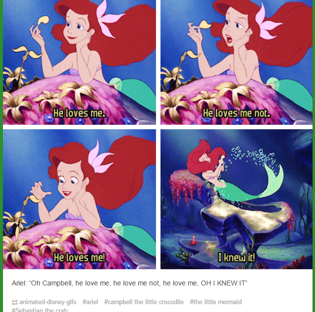 ariel.png