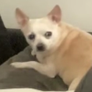 arms1.png